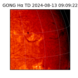 gong - 2024-08-13T09:09:22