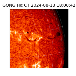 gong - 2024-08-13T18:00:42