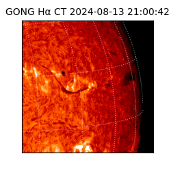 gong - 2024-08-13T21:00:42