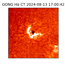 gong - 2024-08-13T17:00:42