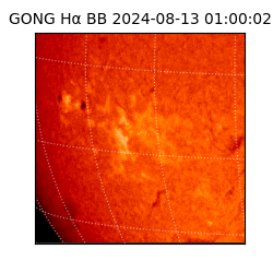 gong - 2024-08-13T01:00:02