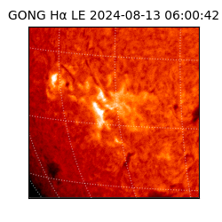 gong - 2024-08-13T06:00:42