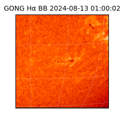 gong - 2024-08-13T01:00:02