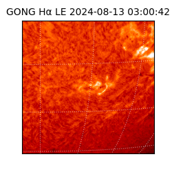 gong - 2024-08-13T03:00:42