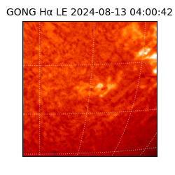 gong - 2024-08-13T04:00:42