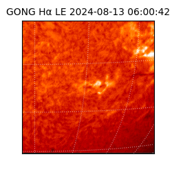 gong - 2024-08-13T06:00:42