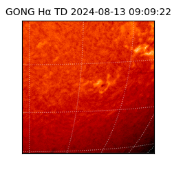 gong - 2024-08-13T09:09:22