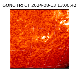 gong - 2024-08-13T13:00:42