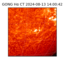 gong - 2024-08-13T14:00:42