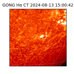 gong - 2024-08-13T15:00:42