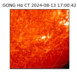 gong - 2024-08-13T17:00:42