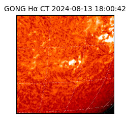 gong - 2024-08-13T18:00:42