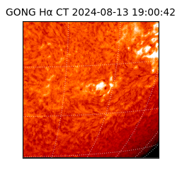 gong - 2024-08-13T19:00:42