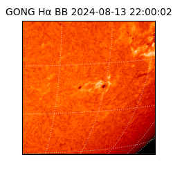 gong - 2024-08-13T22:00:02