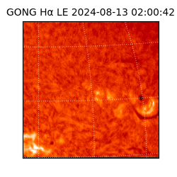 gong - 2024-08-13T02:00:42