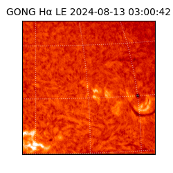 gong - 2024-08-13T03:00:42