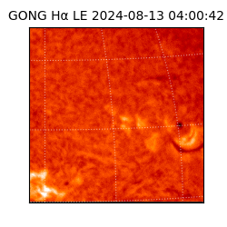 gong - 2024-08-13T04:00:42