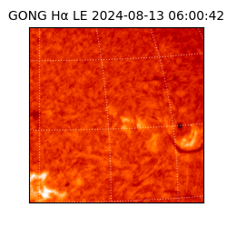 gong - 2024-08-13T06:00:42