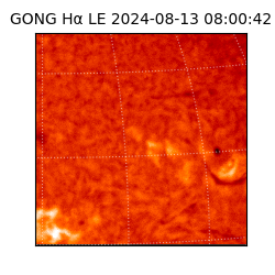 gong - 2024-08-13T08:00:42