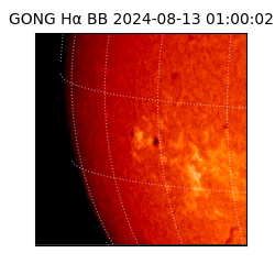 gong - 2024-08-13T01:00:02