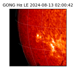 gong - 2024-08-13T02:00:42