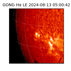 gong - 2024-08-13T05:00:42