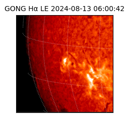 gong - 2024-08-13T06:00:42