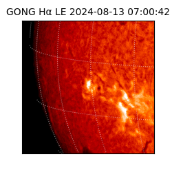 gong - 2024-08-13T07:00:42