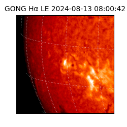 gong - 2024-08-13T08:00:42