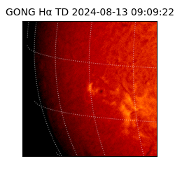 gong - 2024-08-13T09:09:22