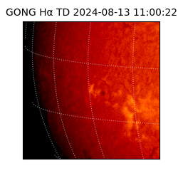 gong - 2024-08-13T11:00:22