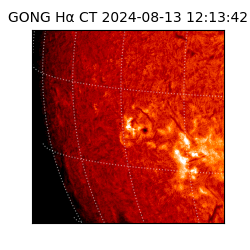 gong - 2024-08-13T12:13:42