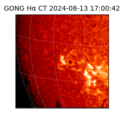 gong - 2024-08-13T17:00:42