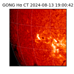 gong - 2024-08-13T19:00:42