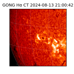 gong - 2024-08-13T21:00:42