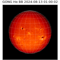 gong - 2024-08-13T01:00:02