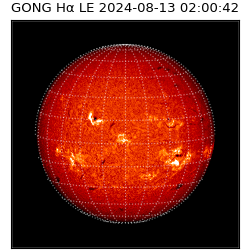 gong - 2024-08-13T02:00:42