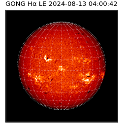 gong - 2024-08-13T04:00:42