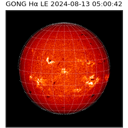 gong - 2024-08-13T05:00:42