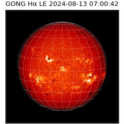 gong - 2024-08-13T07:00:42