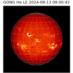 gong - 2024-08-13T08:00:42