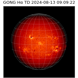 gong - 2024-08-13T09:09:22