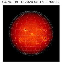gong - 2024-08-13T11:00:22