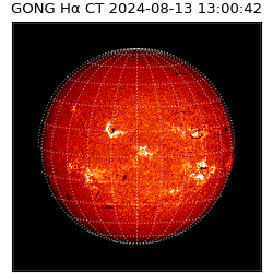 gong - 2024-08-13T13:00:42