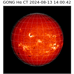 gong - 2024-08-13T14:00:42