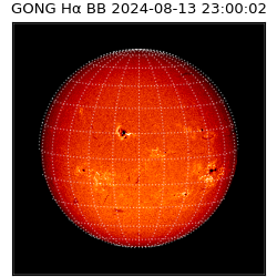 gong - 2024-08-13T23:00:02