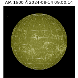 saia - 2024-08-14T09:00:14.126000