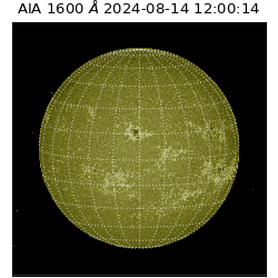 saia - 2024-08-14T12:00:14.126000