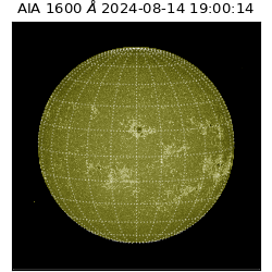saia - 2024-08-14T19:00:14.130000