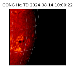 gong - 2024-08-14T10:00:22